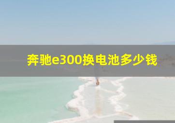 奔驰e300换电池多少钱