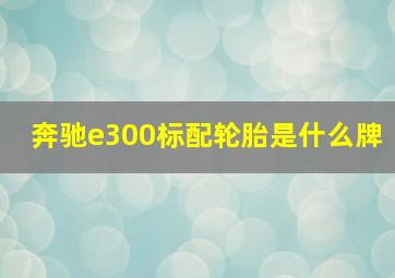 奔驰e300标配轮胎是什么牌