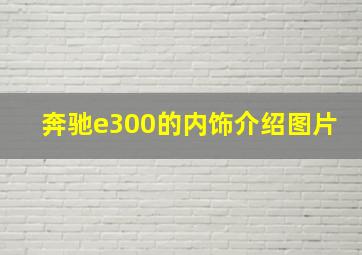 奔驰e300的内饰介绍图片