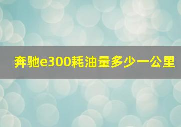 奔驰e300耗油量多少一公里