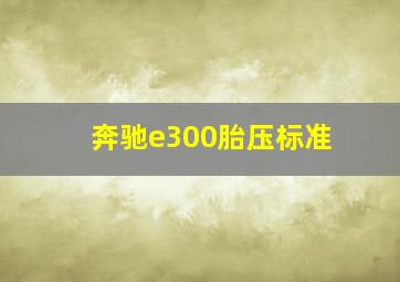 奔驰e300胎压标准