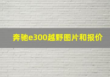 奔驰e300越野图片和报价