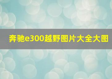 奔驰e300越野图片大全大图