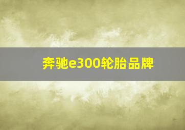 奔驰e300轮胎品牌