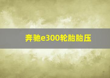 奔驰e300轮胎胎压