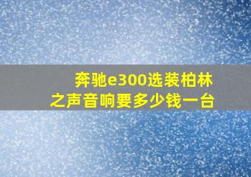 奔驰e300选装柏林之声音响要多少钱一台