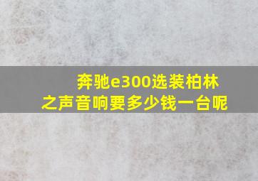 奔驰e300选装柏林之声音响要多少钱一台呢