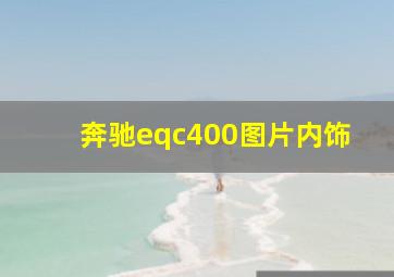 奔驰eqc400图片内饰