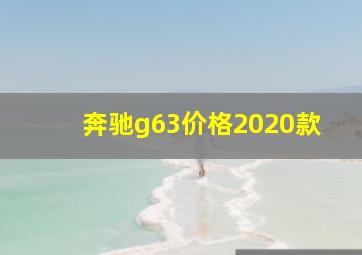 奔驰g63价格2020款