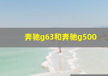 奔驰g63和奔驰g500