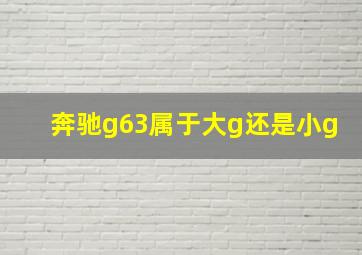 奔驰g63属于大g还是小g