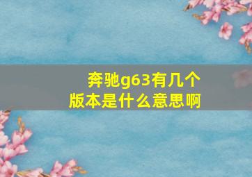 奔驰g63有几个版本是什么意思啊