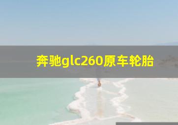 奔驰glc260原车轮胎