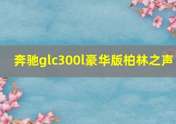 奔驰glc300l豪华版柏林之声