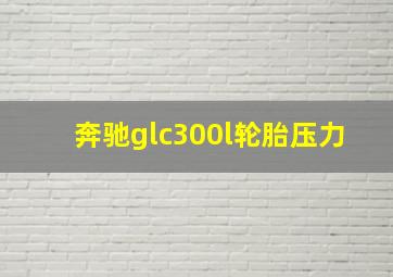 奔驰glc300l轮胎压力