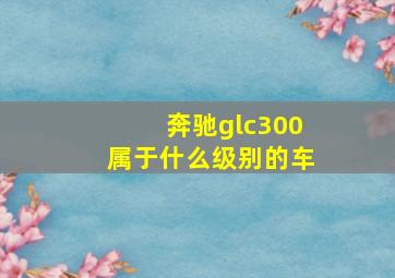 奔驰glc300属于什么级别的车