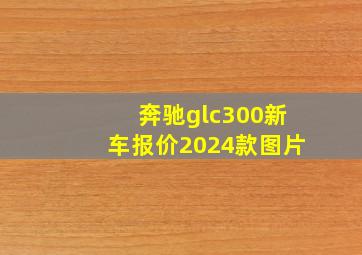 奔驰glc300新车报价2024款图片