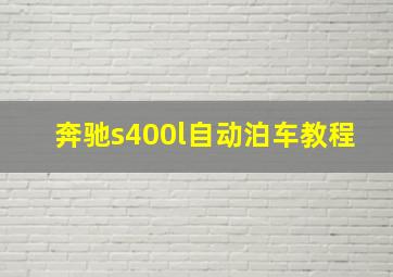 奔驰s400l自动泊车教程