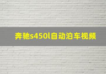 奔驰s450l自动泊车视频