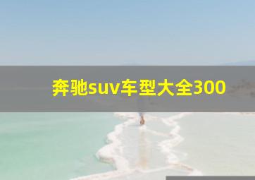 奔驰suv车型大全300