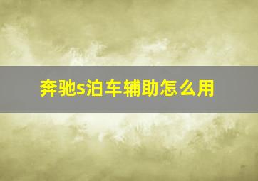 奔驰s泊车辅助怎么用