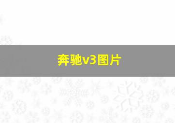 奔驰v3图片