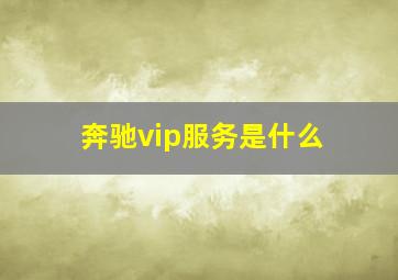 奔驰vip服务是什么