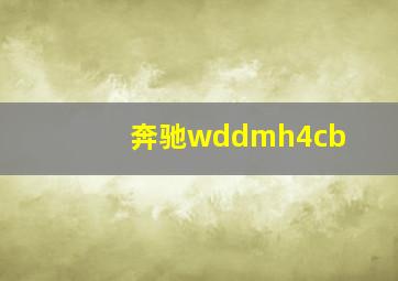 奔驰wddmh4cb