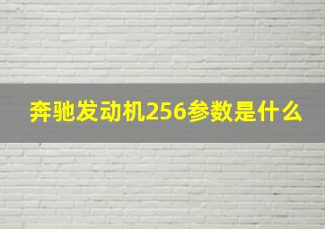 奔驰发动机256参数是什么