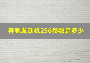 奔驰发动机256参数是多少