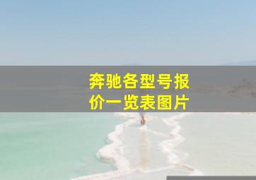 奔驰各型号报价一览表图片