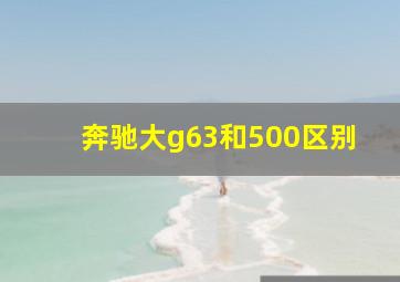 奔驰大g63和500区别