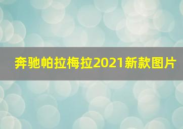 奔驰帕拉梅拉2021新款图片