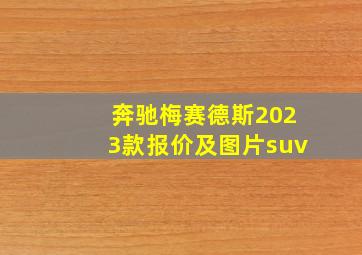 奔驰梅赛德斯2023款报价及图片suv