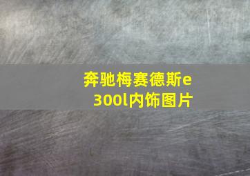 奔驰梅赛德斯e300l内饰图片