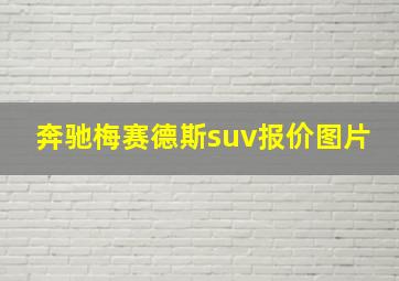 奔驰梅赛德斯suv报价图片