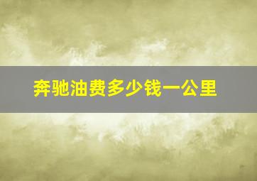 奔驰油费多少钱一公里