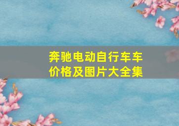 奔驰电动自行车车价格及图片大全集