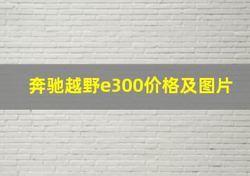 奔驰越野e300价格及图片