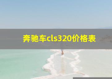 奔驰车cls320价格表