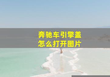 奔驰车引擎盖怎么打开图片