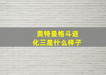 奥特曼格斗进化三是什么样子