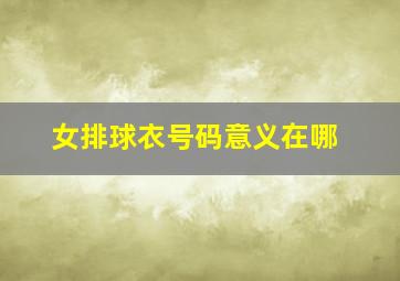 女排球衣号码意义在哪