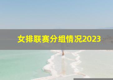 女排联赛分组情况2023