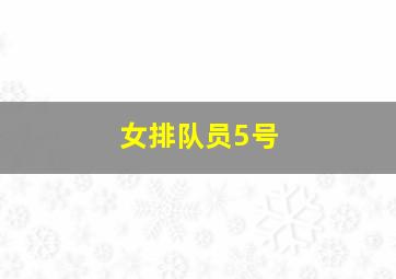 女排队员5号