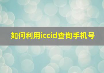 如何利用iccid查询手机号