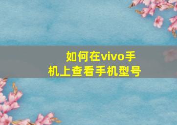 如何在vivo手机上查看手机型号