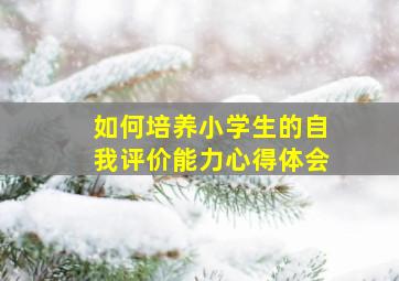 如何培养小学生的自我评价能力心得体会