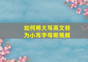 如何将大写英文转为小写字母呢视频