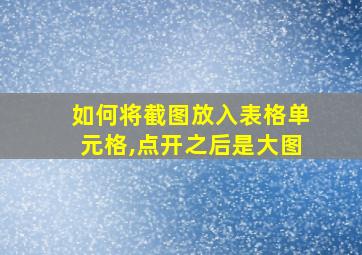 如何将截图放入表格单元格,点开之后是大图